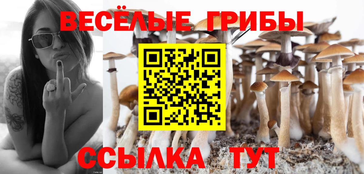 Дубна  купить наркотик  Вход с VPN  Псилоцибиновые грибы Magic Shrooms 